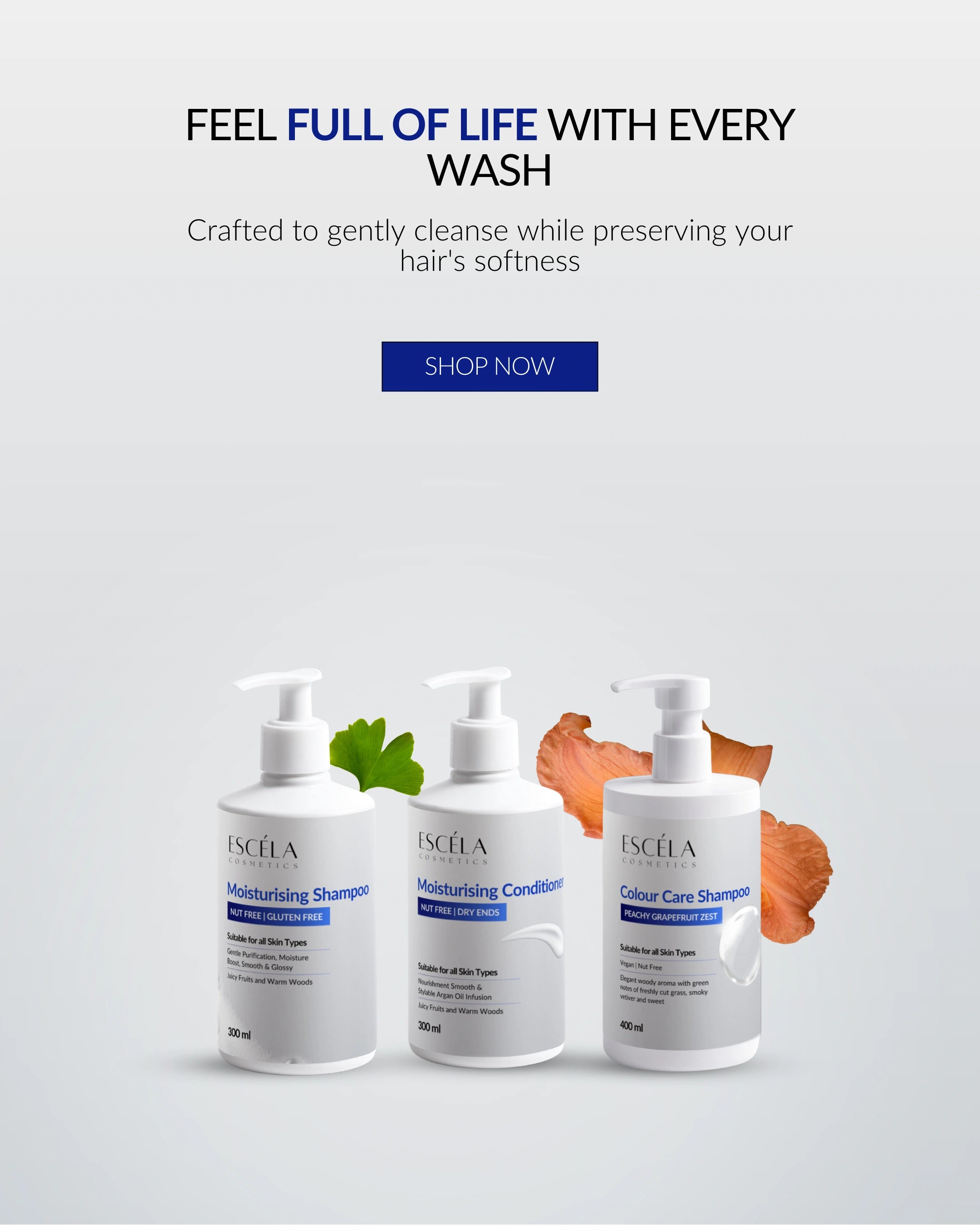 Carton Boxes packaging