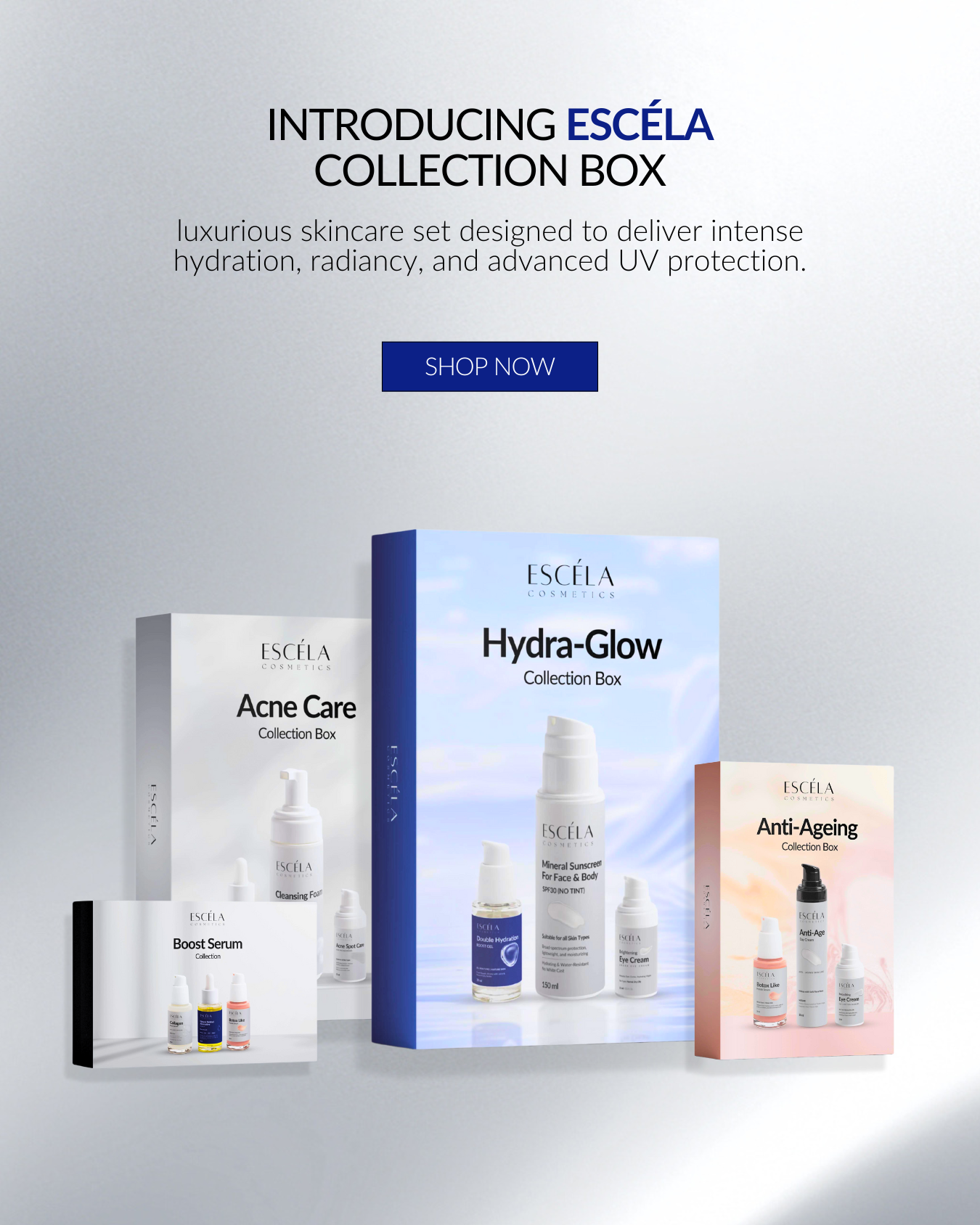 Rigid Boxes packaging