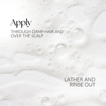 Gloss Shampoo, Smoky Green Vetiver 