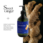 Hand & Body Wash, Ginger & Smoky Cardamom 